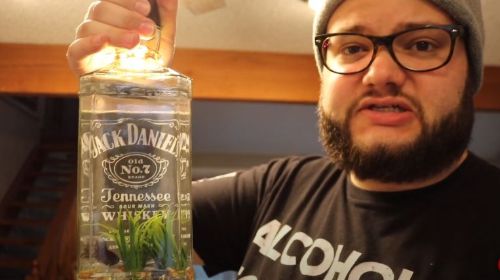Does Jack Daniels Go Bad? (Do Whiskeys Expire?)